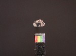 L_V19d8286 J1q1251.1 Ux09 dM la f296 obsidian